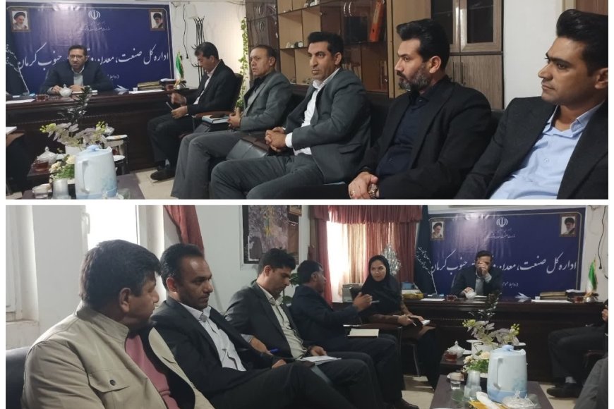 مدیرکل صمت جنوب کرمان:  تخصیص سوخت باید شفاف و منطبق بر مجوزهای قانونی باشد